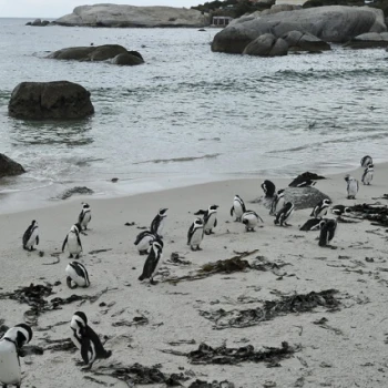 SANParks celebrates Marine Protected Areas Day