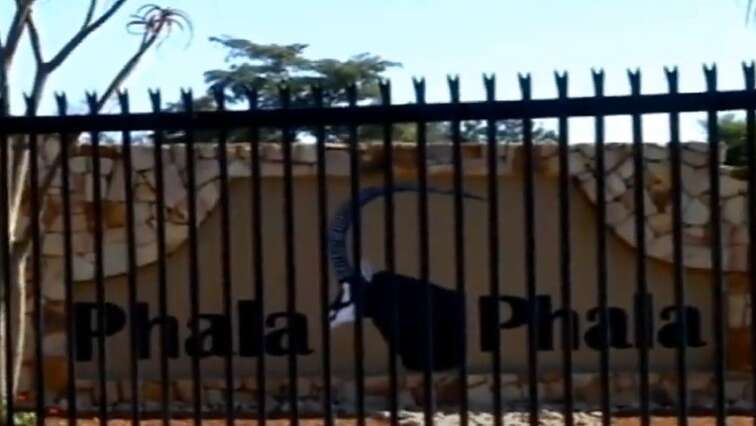 Phala Phala theft case postponed to end November