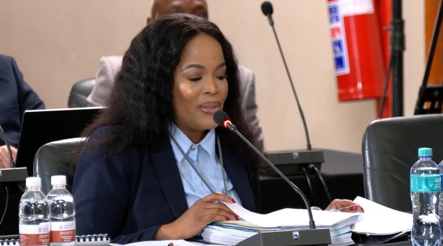 Madlanga recommendations will be taken with due diligence: Dimpane