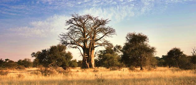 Mpumalanga residents say their land claims are purposefully delayed