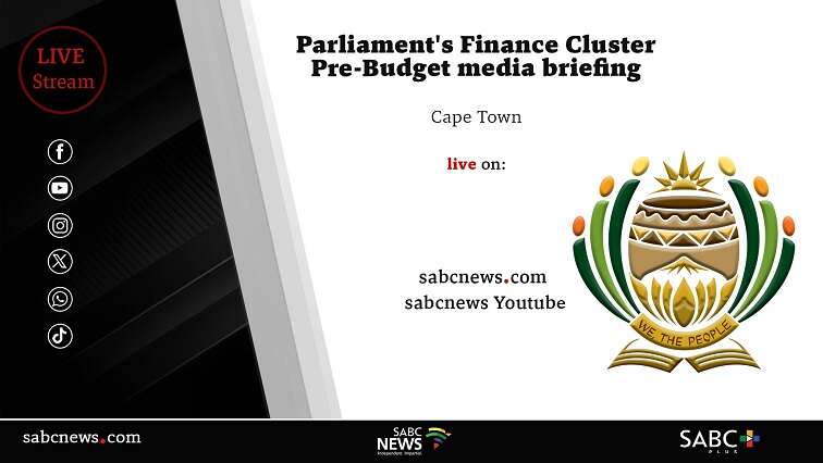 LIVE: Parliament’s Finance Cluster media briefing