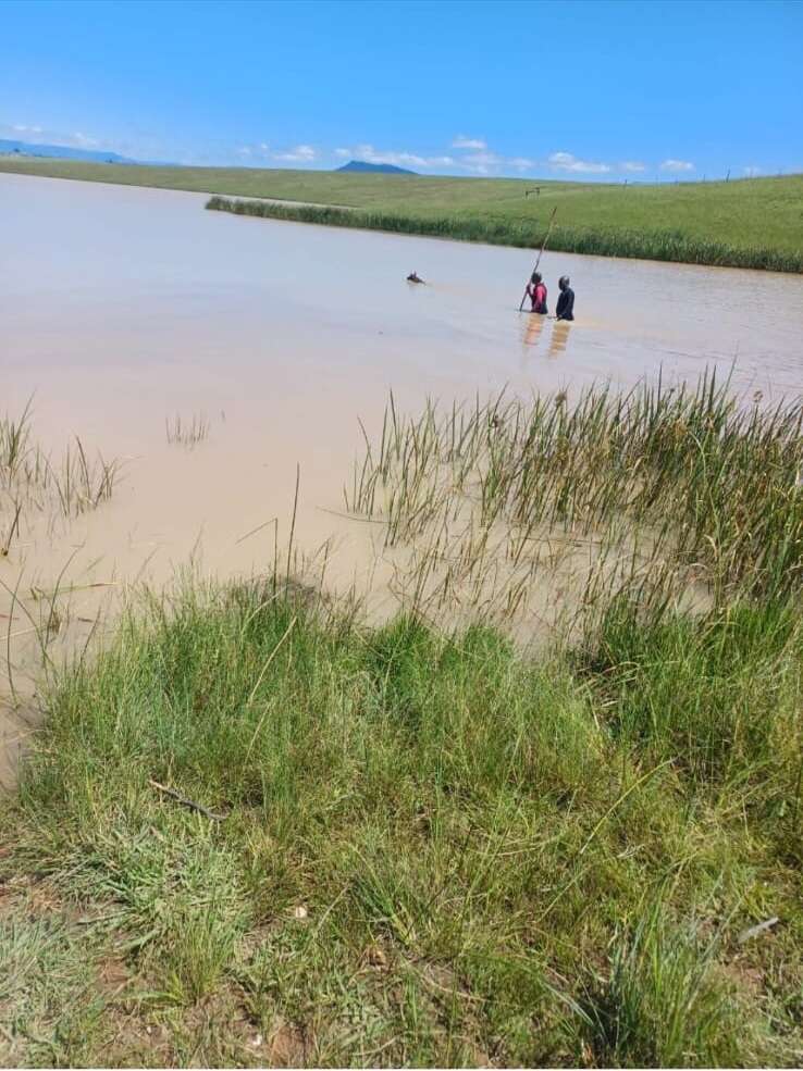 Bodies of two children who drowned in EC dam have been found