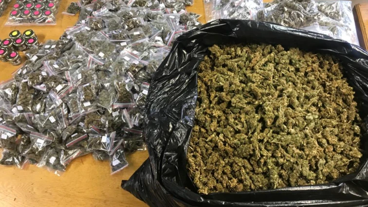 Police, soldiers seize drugs and cash in Eastern Cape operation