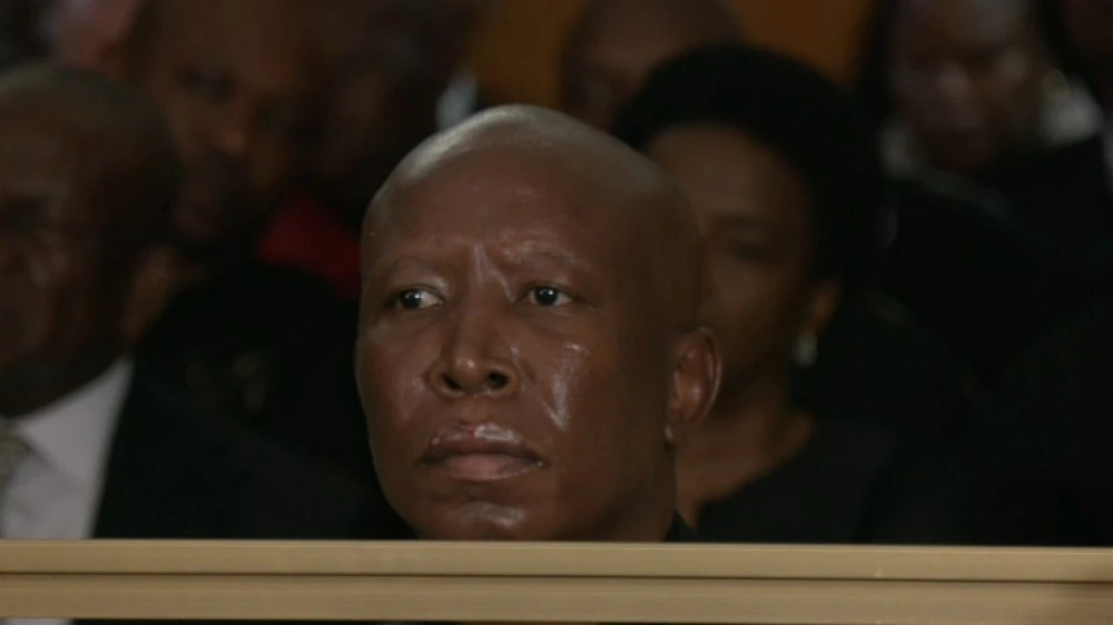 Julius Malema can remain MP pending legal processes: Experts