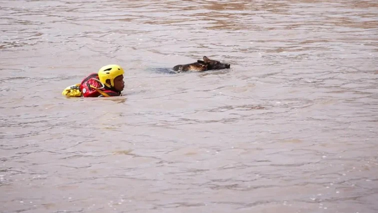 Two men, woman die on Boland farm amid Worcester floods