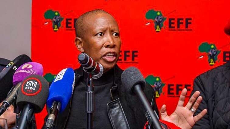 EFF won’t join GNU if DA and FF Plus part of it: Malema