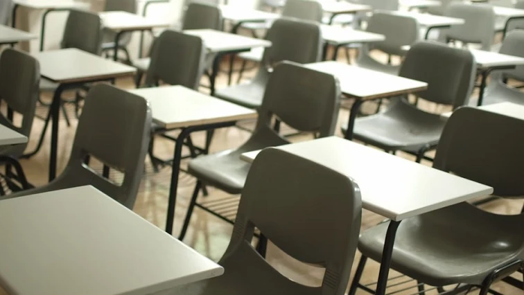 Probe launched after animal remains found at KZN school