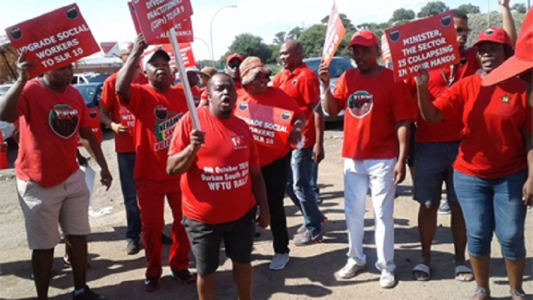 Education committee to probe irregular appointments in NFSAS