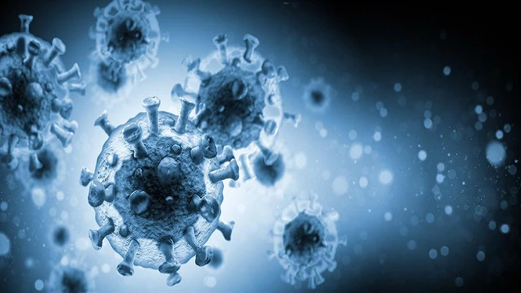 Global COVID-19 cases surpass 48.5 mln, deaths exceed 1.23 mln