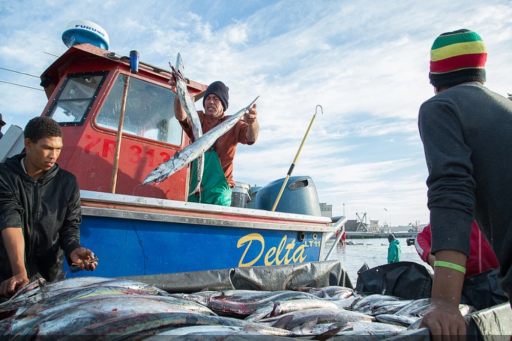 WC fishers say they are battling to survive with fishing exclusions