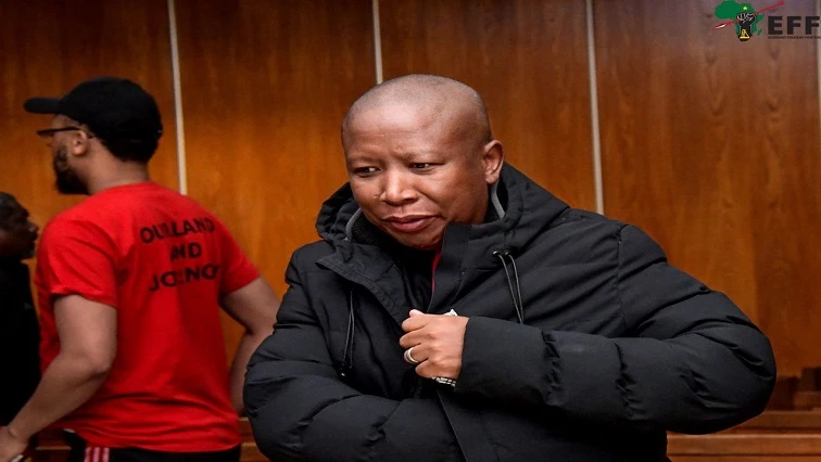 Malema, bodyguard await judgment in 2018 stadium firearm incident