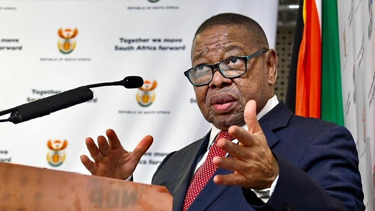 Nzimande to introduce new initiatives to boost maths, science access