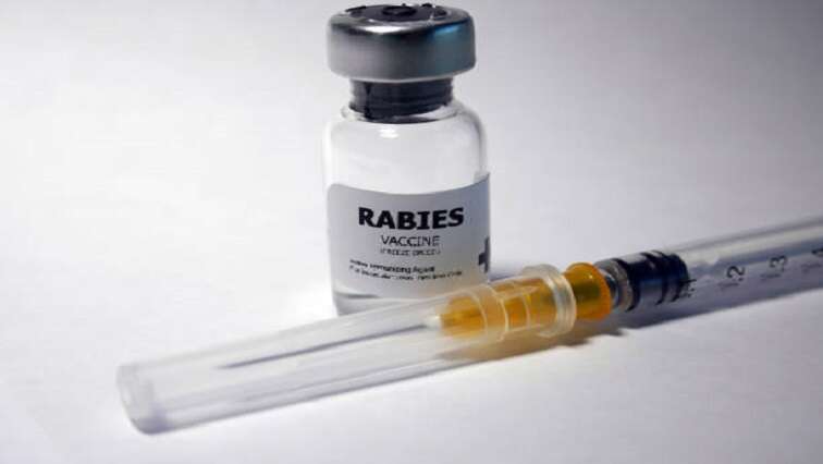 Durban residents urged to vaccinate pets amid latest rabies death