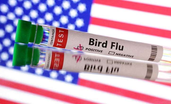 US reports first severe human case of bird flu