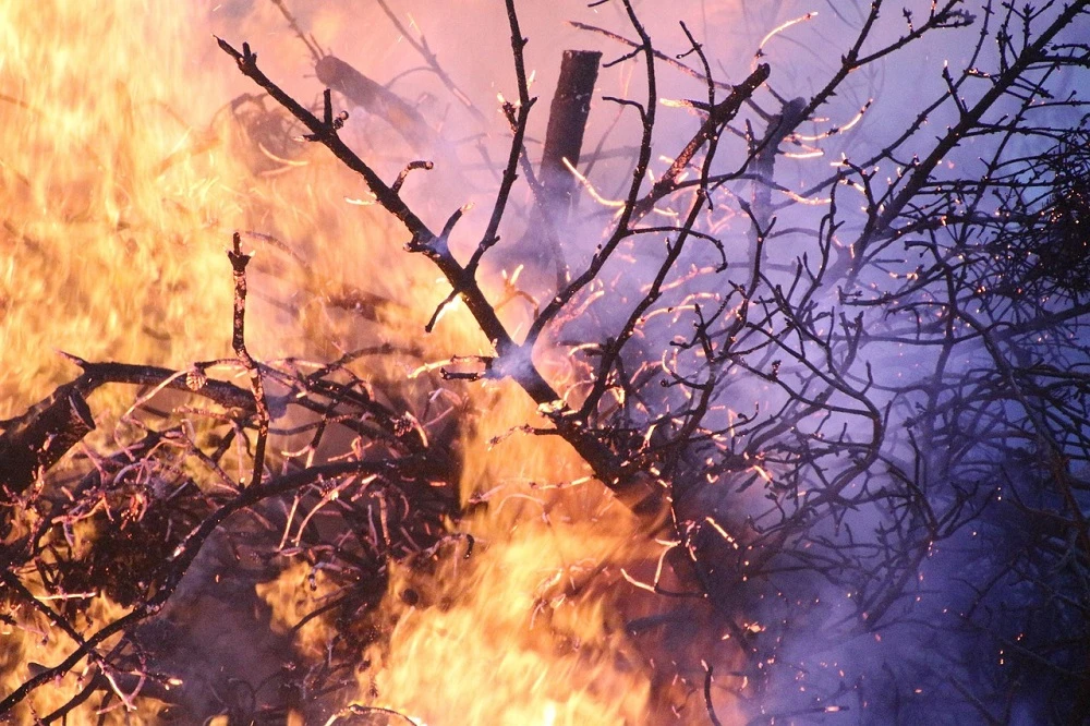 Limpopo farmers asked to be on high alert for fires