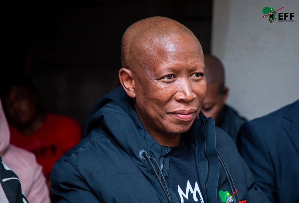 Proposed 15-year-sentence for Malema disproportionate: Expert