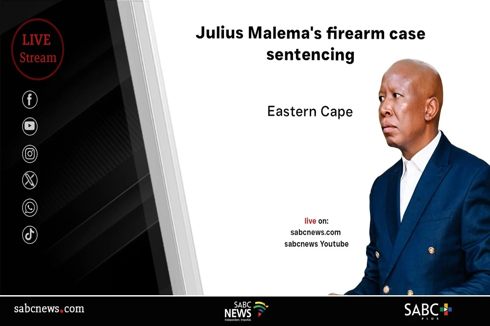 LIVE | Julius Malema’s firearm case sentencing: