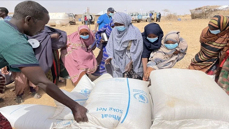 Malnutrition treatment halted in Ethiopia due to underfunding: WFP
