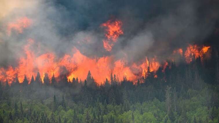 Firefighters quell most of Portugal’s worst wildfires, fight still on