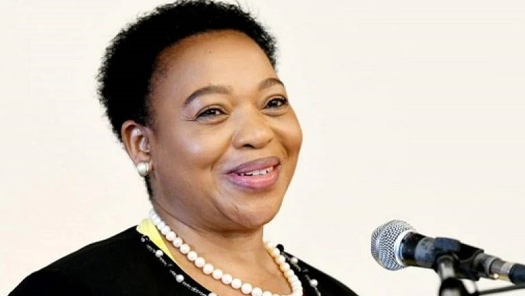 ANC in KZN welcomes appointment of Dr Nomusa Dube-Ncube