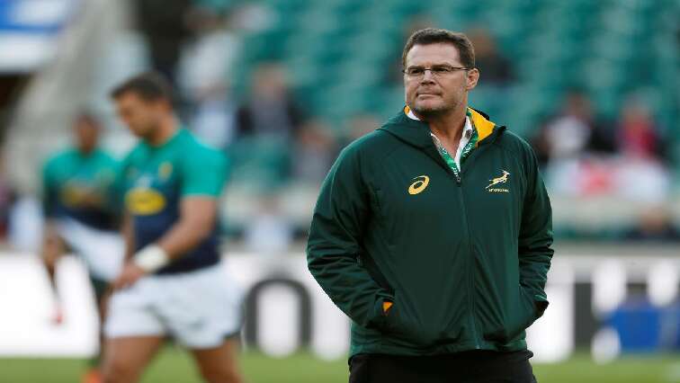 Erasmus names 37-man Boks squad for All Blacks clash