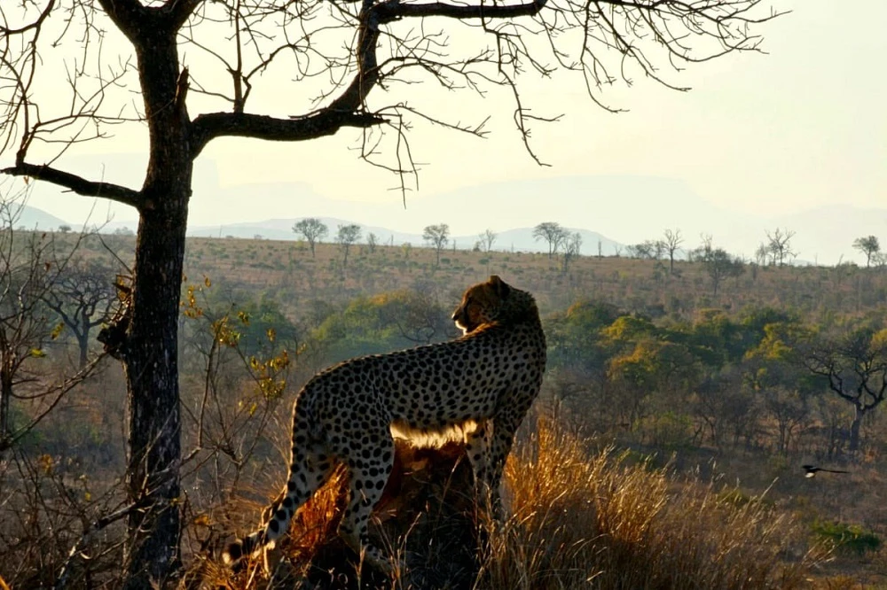 Mpumalanga renaming plan splits public opinion