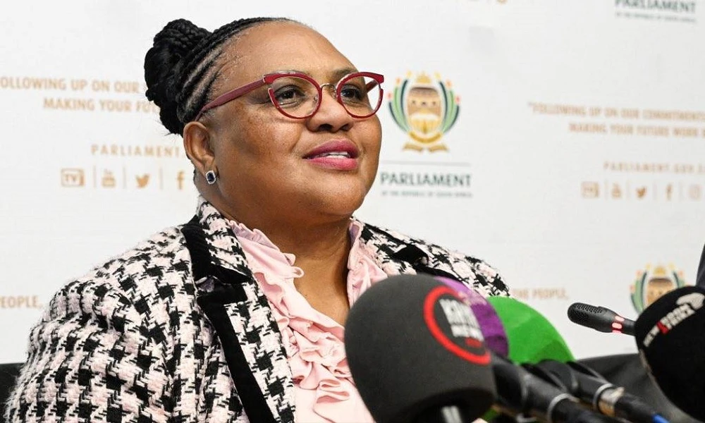 Didiza considering course of action amid Mkhwanazi allegations
