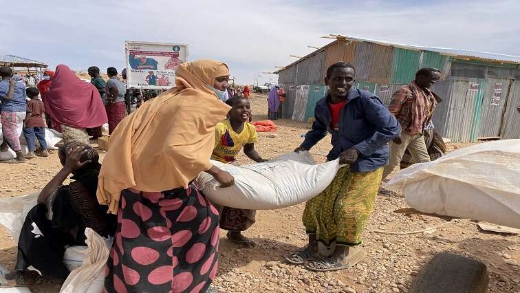 Africa far from achieving food security goals: Nepad