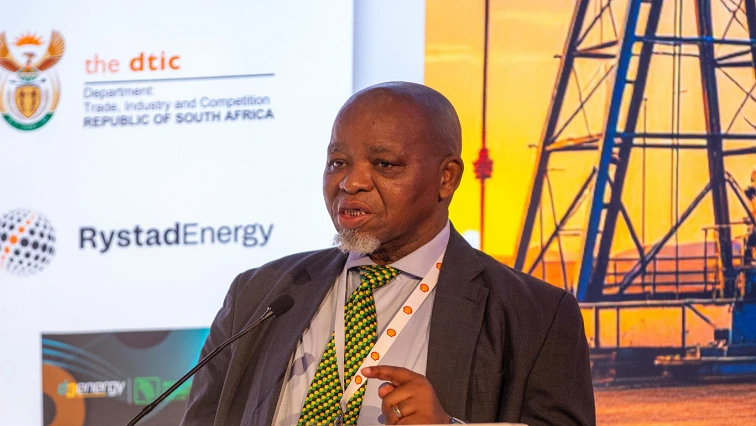 Government weighing options to ease fuel prices burden: Mantashe