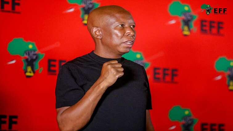 Malema criticises government over SANDF troops in DRC amid casualties