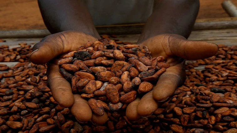 Ivory Coast threatens more expensive cocoa in response to US tariffs