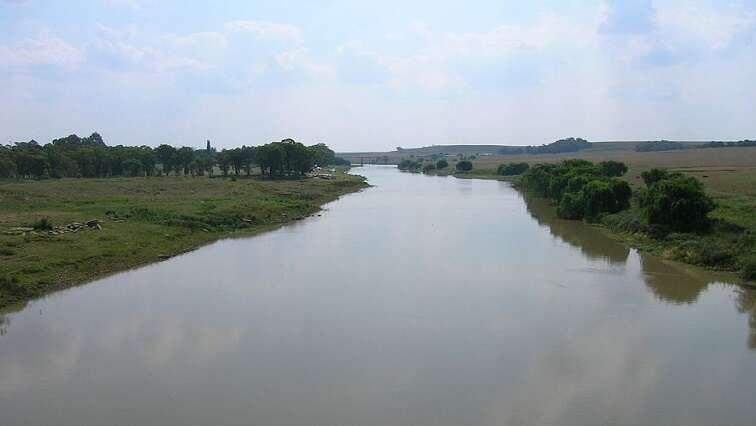 Government to release report on Harts and Vaal rivers’ water quality