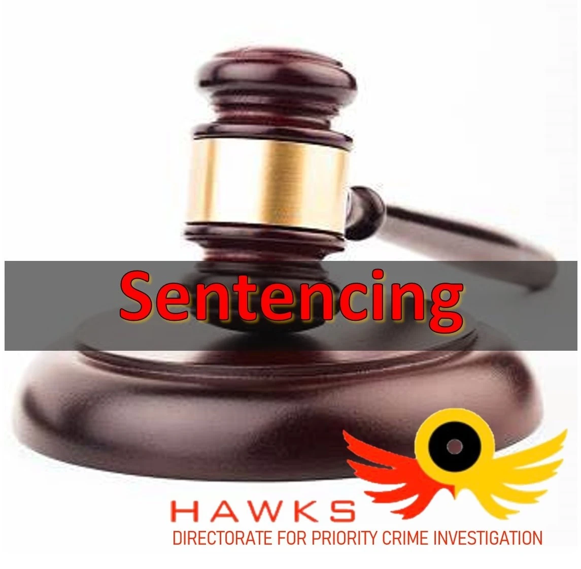 Man jailed for distributing pornographic fake images of SA leaders