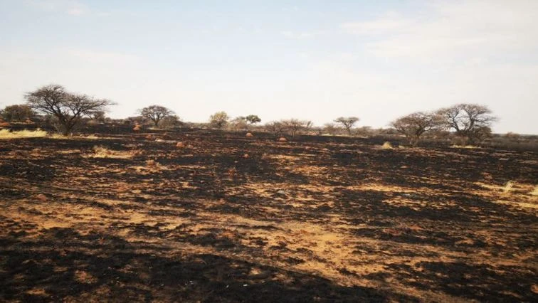 Free State farmers lose over R2mln worth live stock in veld fires