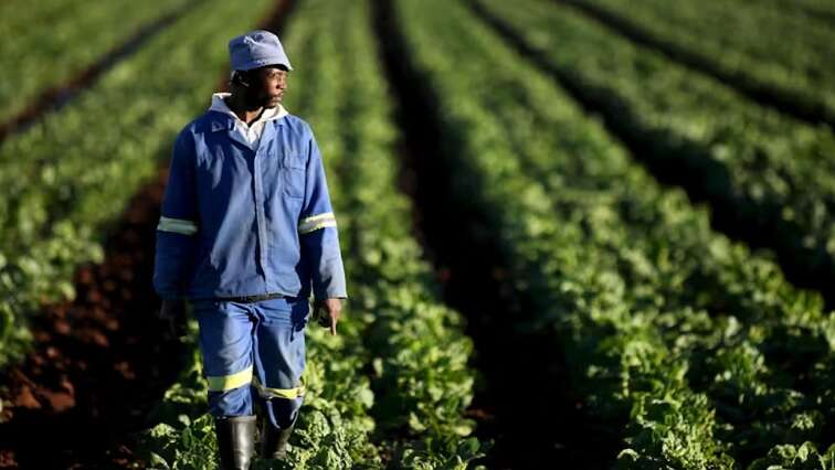 Pretoria to engage Washington on Expropriation Act: Lamola