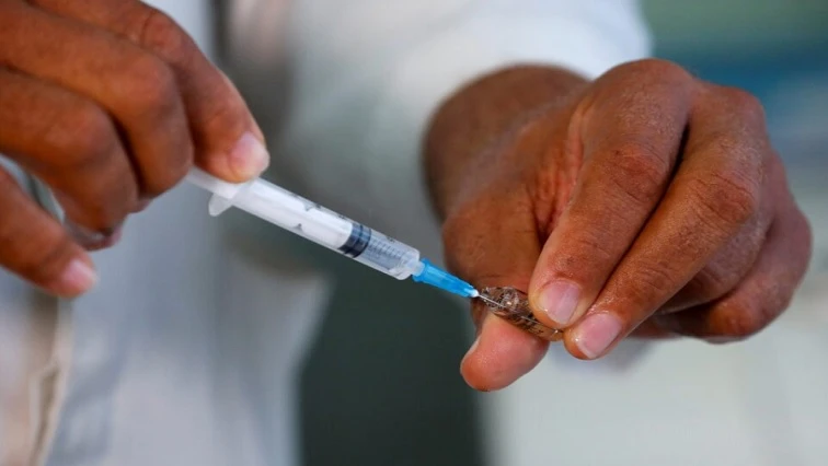 GP Health issues urgent alert as malaria cases and deaths surge