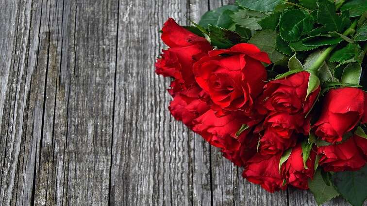 Demand for roses rises as South Africans celebrate Valentine’s Day