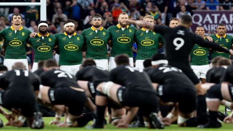 Springboks prepare for landmark test match against All Blacks