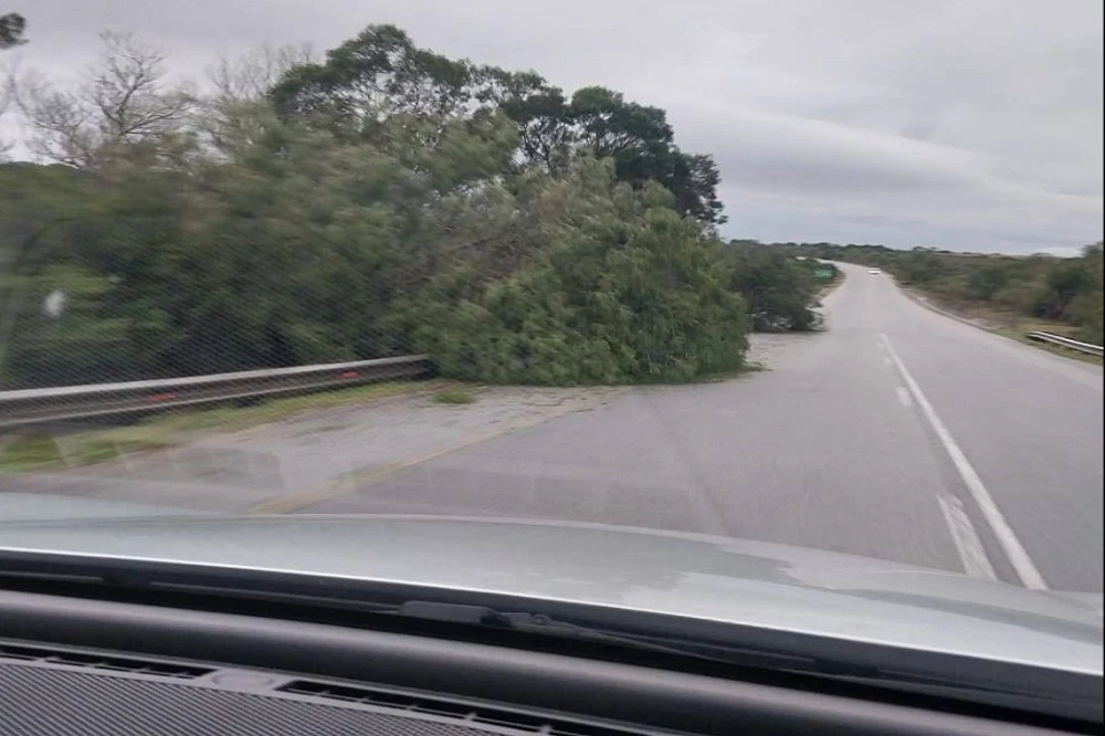 Strong winds cause hazardous driving conditions in Eastern Cape