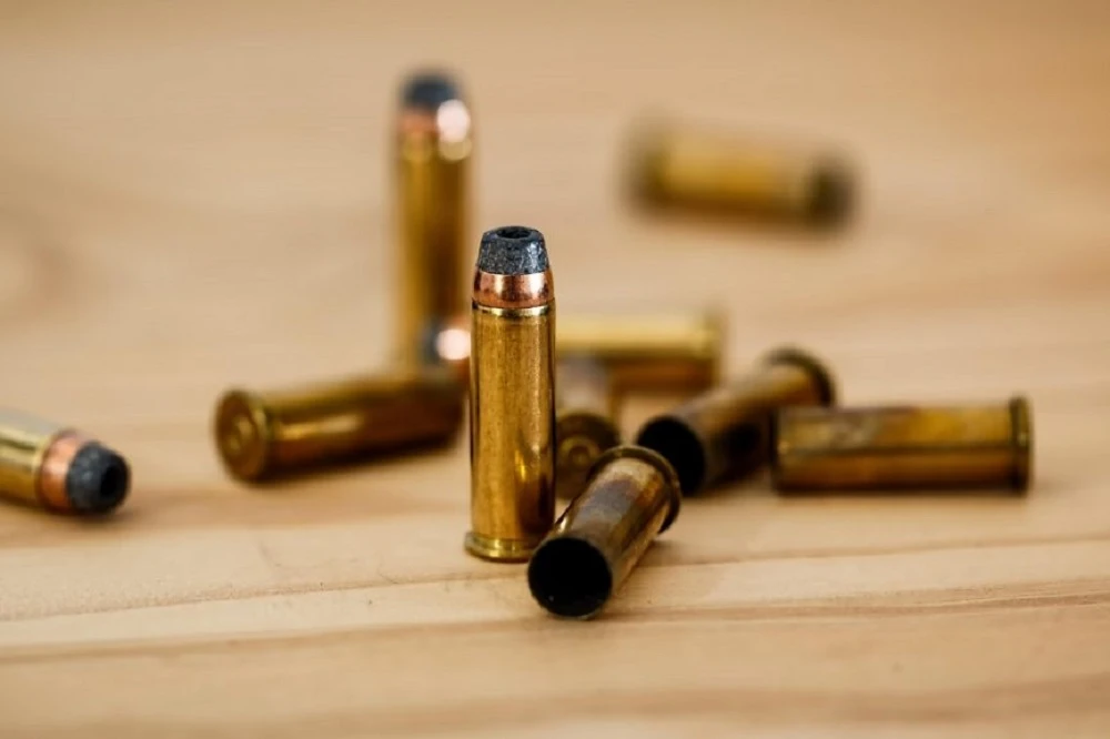 Suspected rhino poaching kingpin shot and killed in Mpumalanga