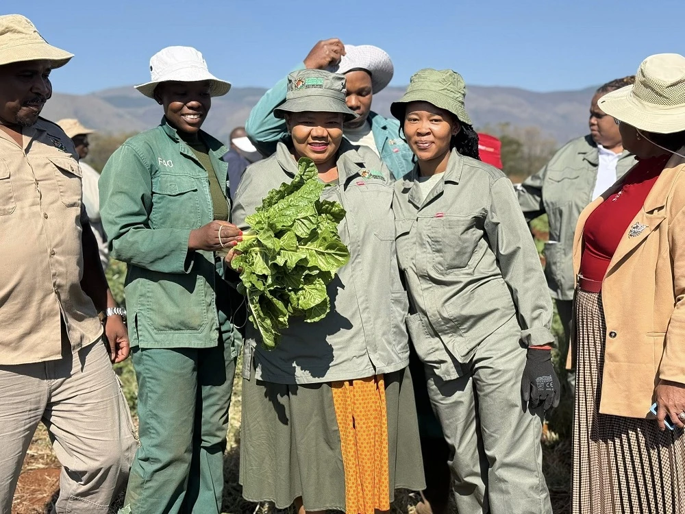 Mpumalanga youth turn to farming via Fortune 40 programme