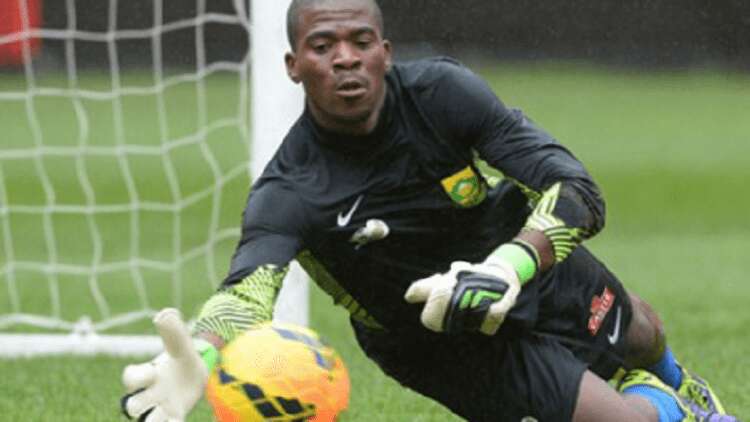 Cellphone analyst expected back on stand on Monday at Meyiwa trial