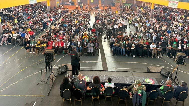 Shivambu says Freedom Charter vision unfulfilled 32 years on