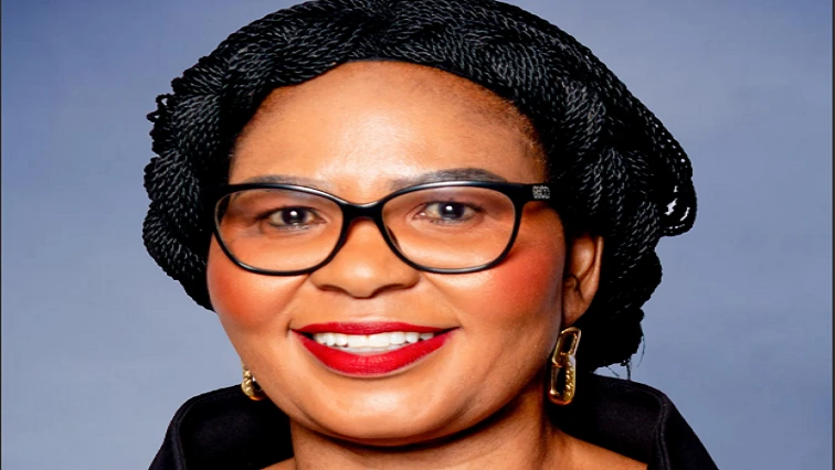 Reviving health infrastructure key to equitable healthcare in Gauteng