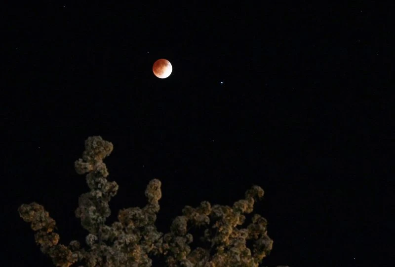 Rare total lunar eclipse set to dazzle SA skies tonight