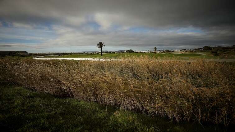 Mandela Foundation launches constitutional bid over access to land