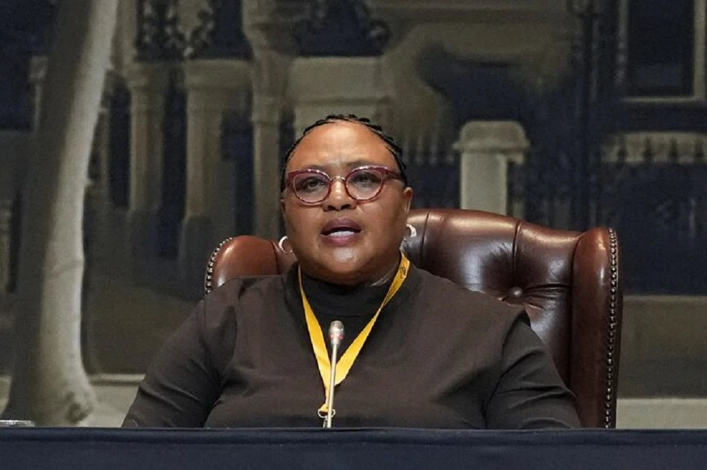 Didiza presents Impeachment Committee proposals to party Chief Whips