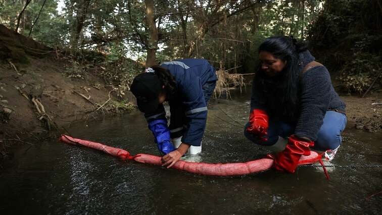 Innovative Chileans use discarded hair to clean up coasts