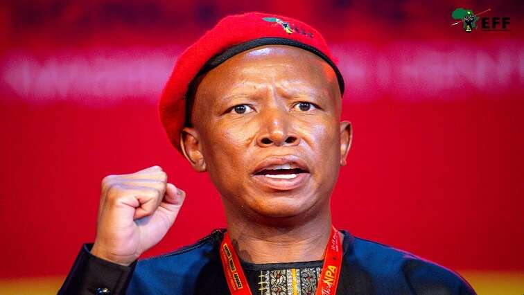 EFF will rebuild, advance struggle for economic freedom: Malema