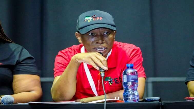 Malema clarifies that he never called for violence